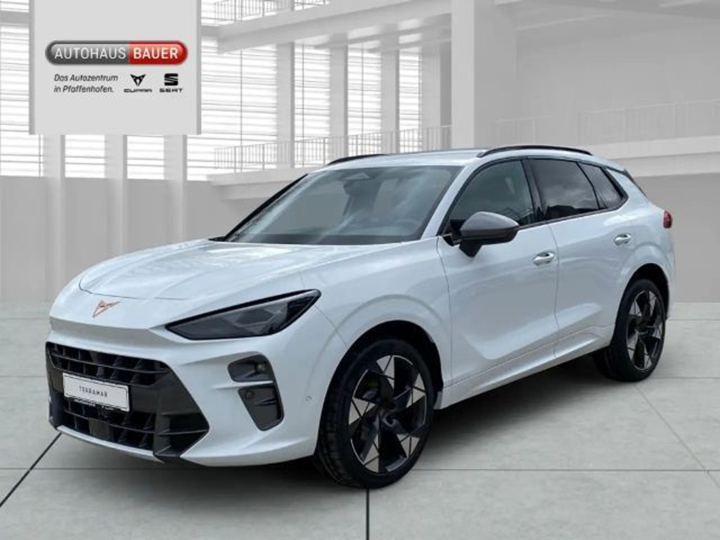 Cupra Terramar 2.0 TSI VZ