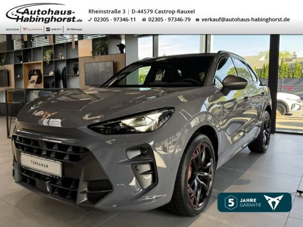 Cupra Terramar 2.0 TSI VZ