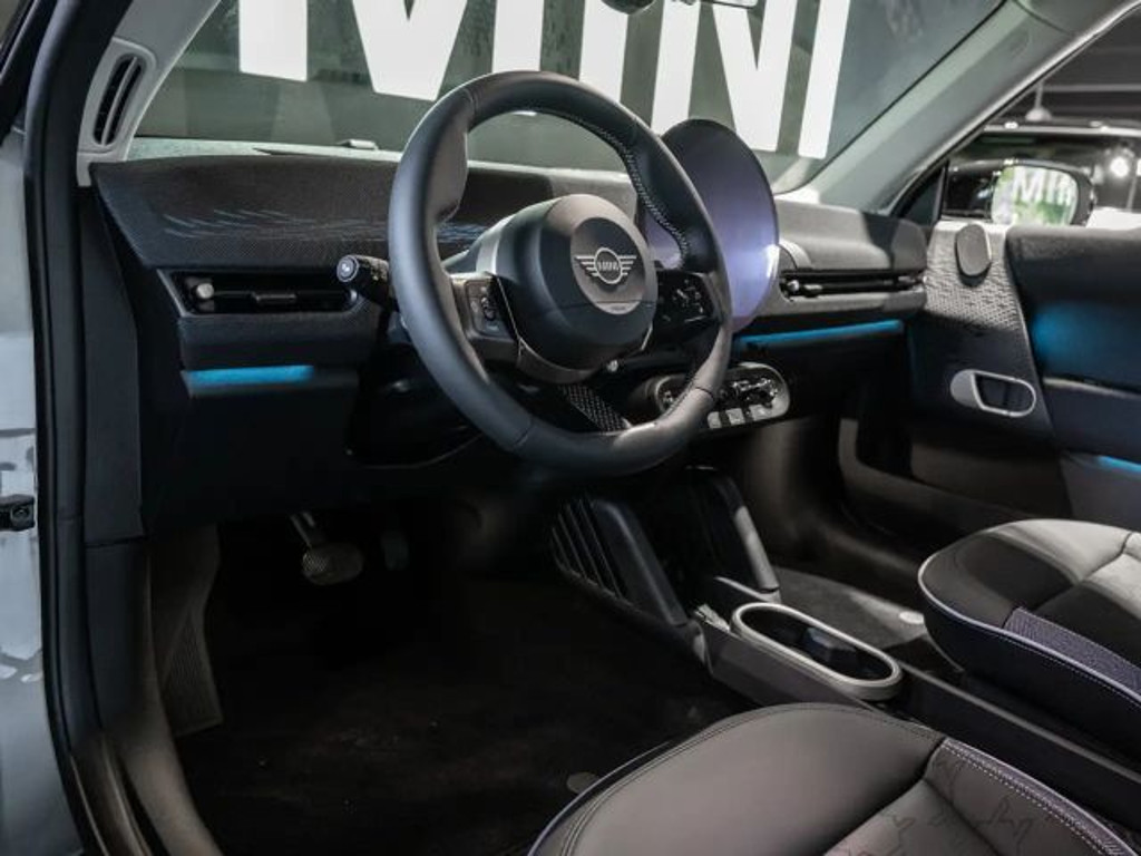 Mini Mini Electric