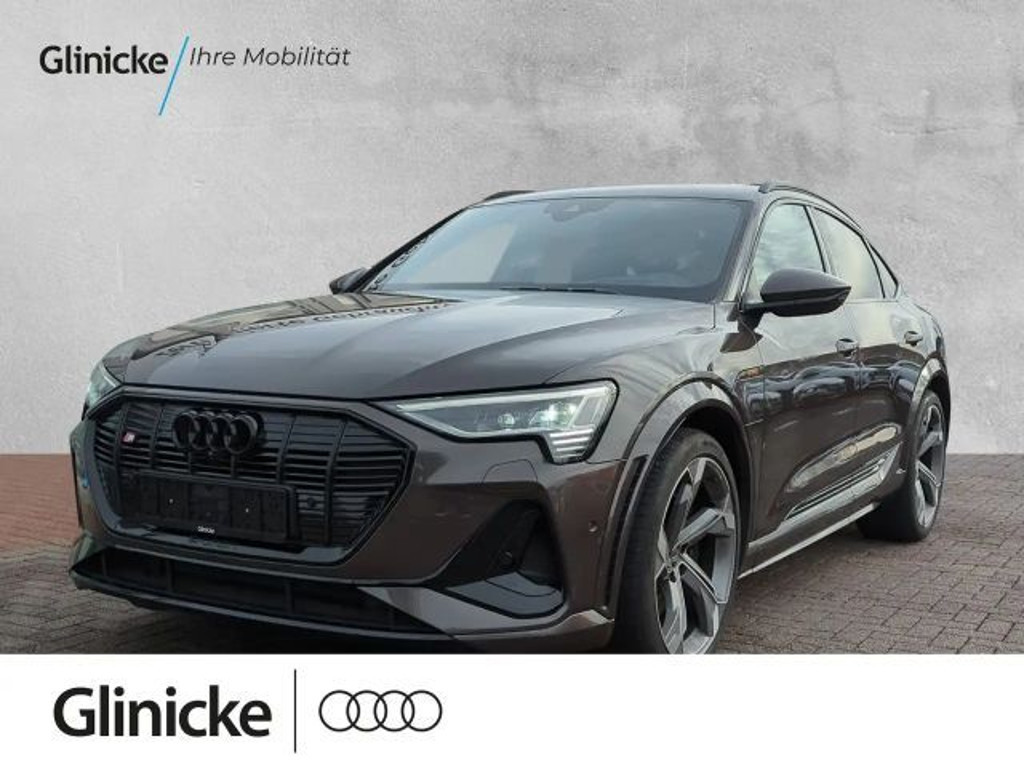 Audi e-tron Bang & Olufsen Pano Matrix