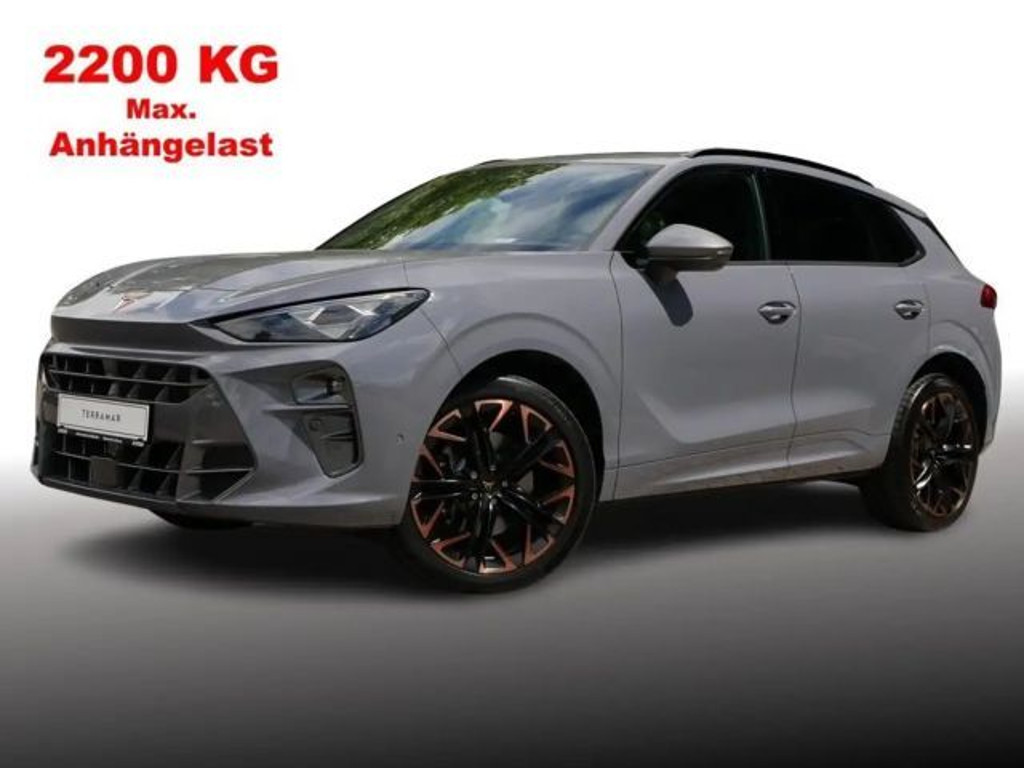 Cupra Terramar 2.0 TSI VZ