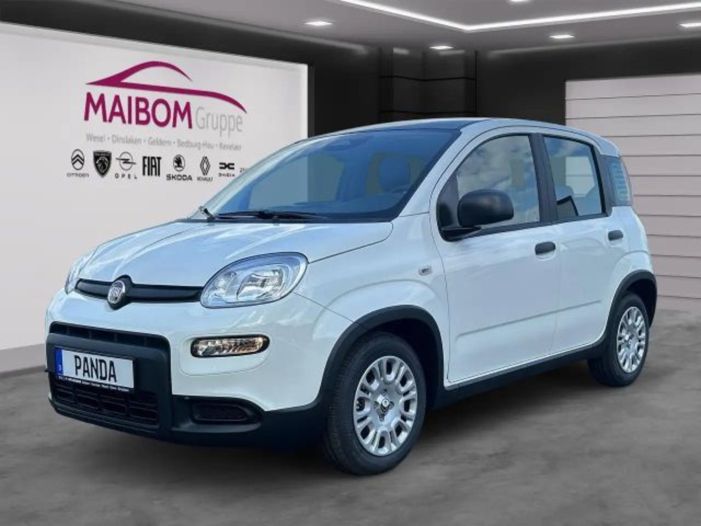Fiat Panda Pandina 1.0 GSE