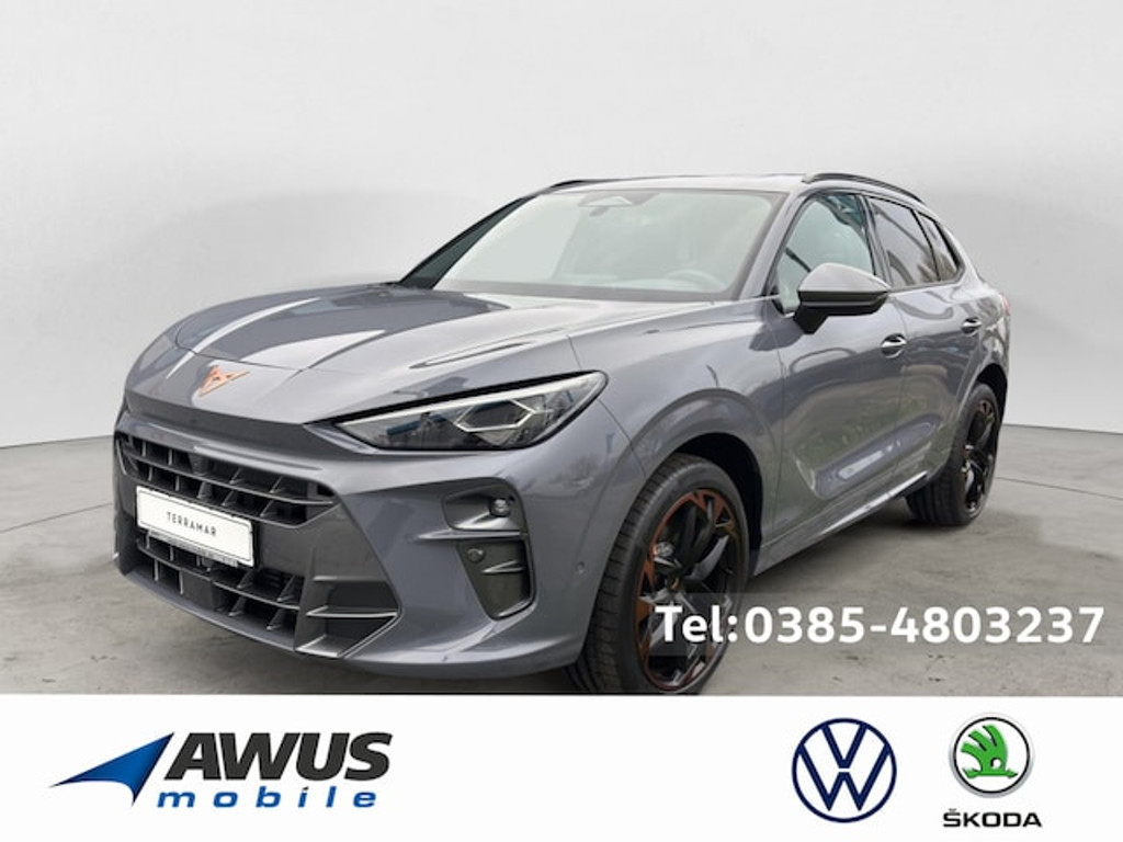 Cupra Terramar VZ