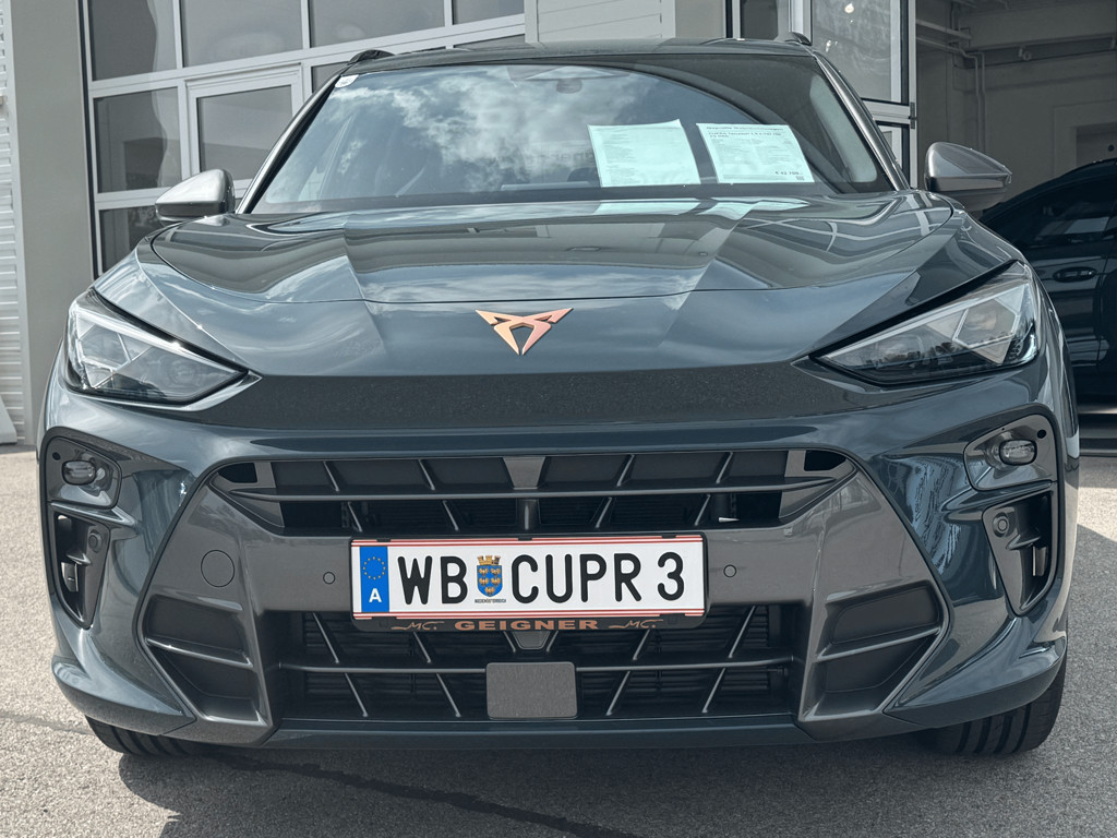 Cupra Terramar