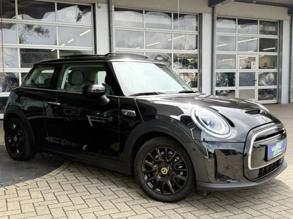 Mini Mini Electric