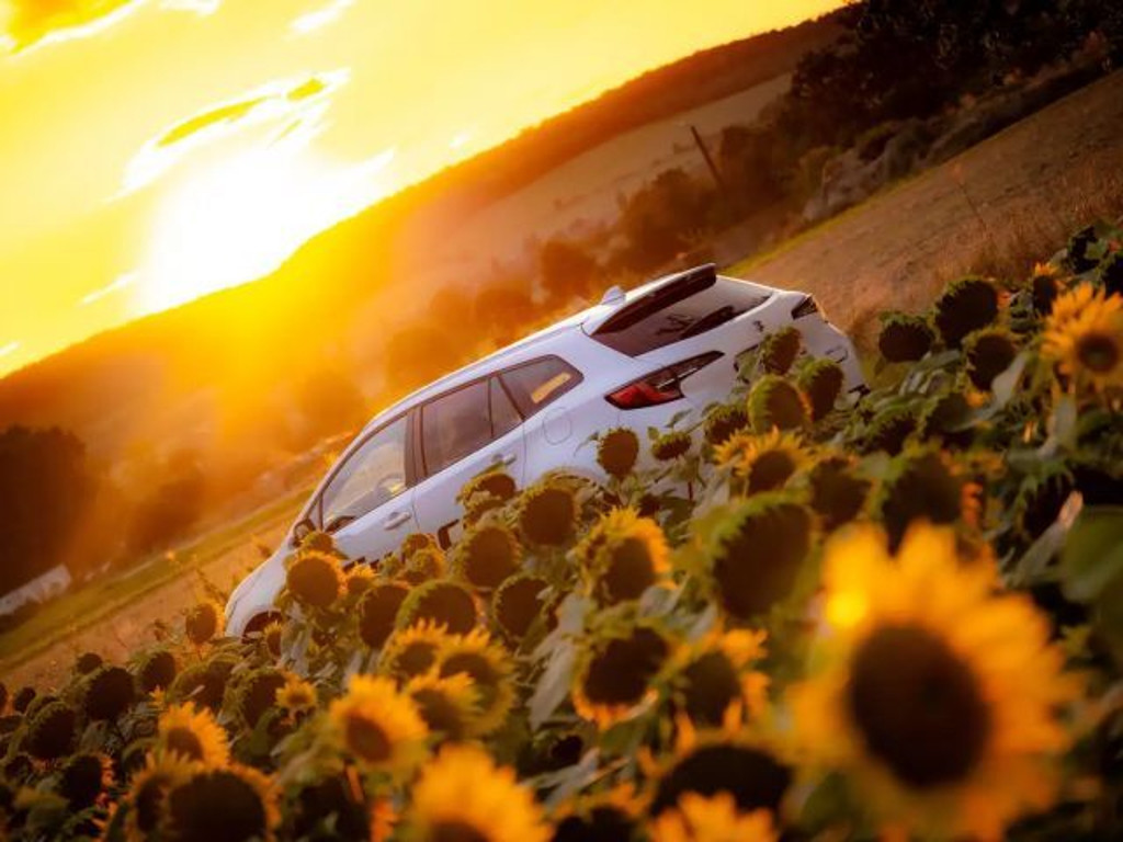 Suzuki Swace Comfort Hybrid