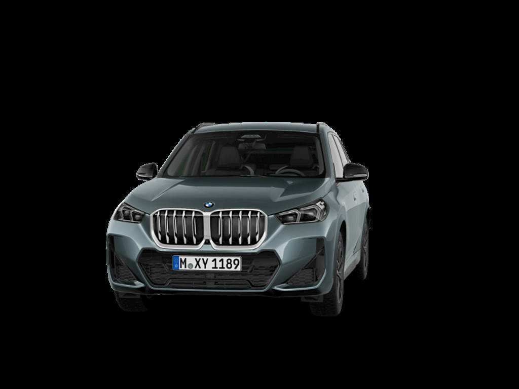 BMW X1 X1 23D X1 xDrive23d