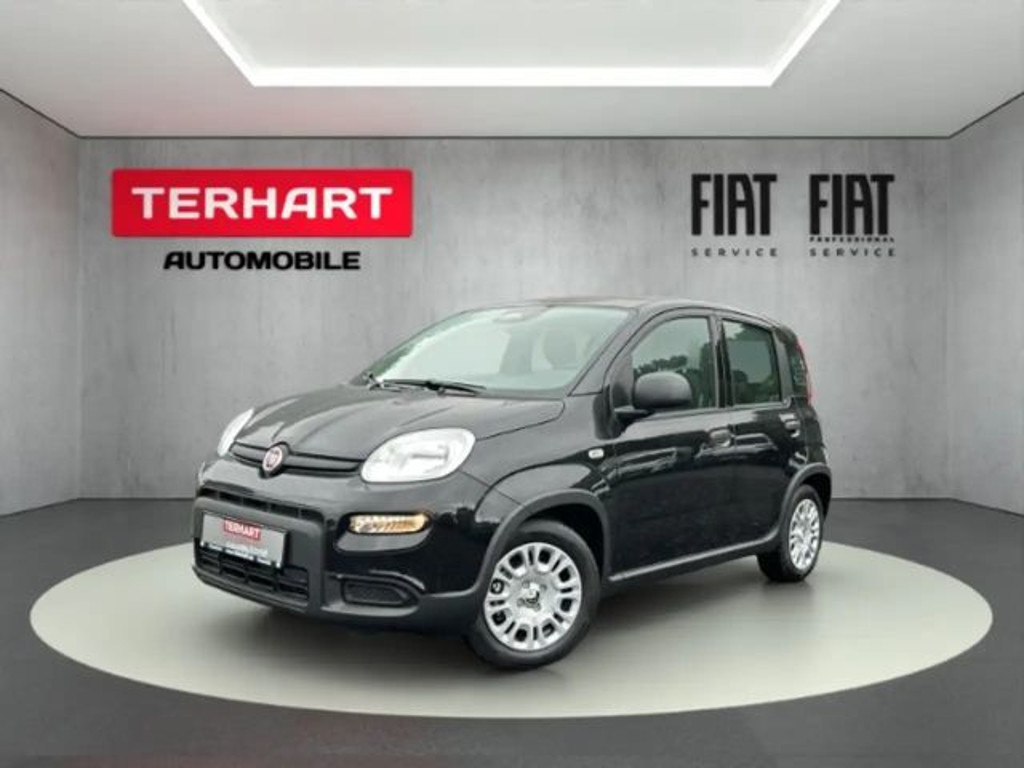Fiat Panda /Pandina 1.0 Mild Hybrid/PDC/Start&Stopp