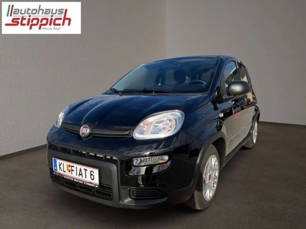 Fiat Panda Panda