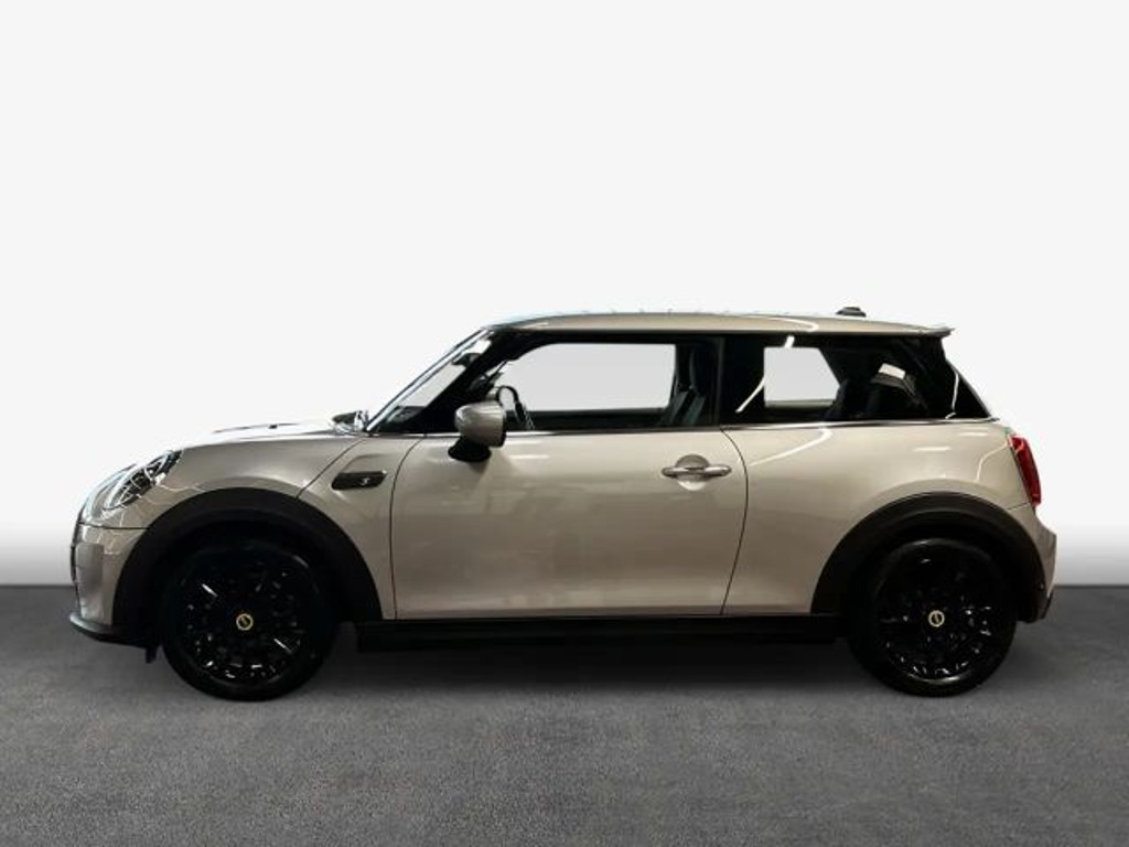 Mini Mini Electric