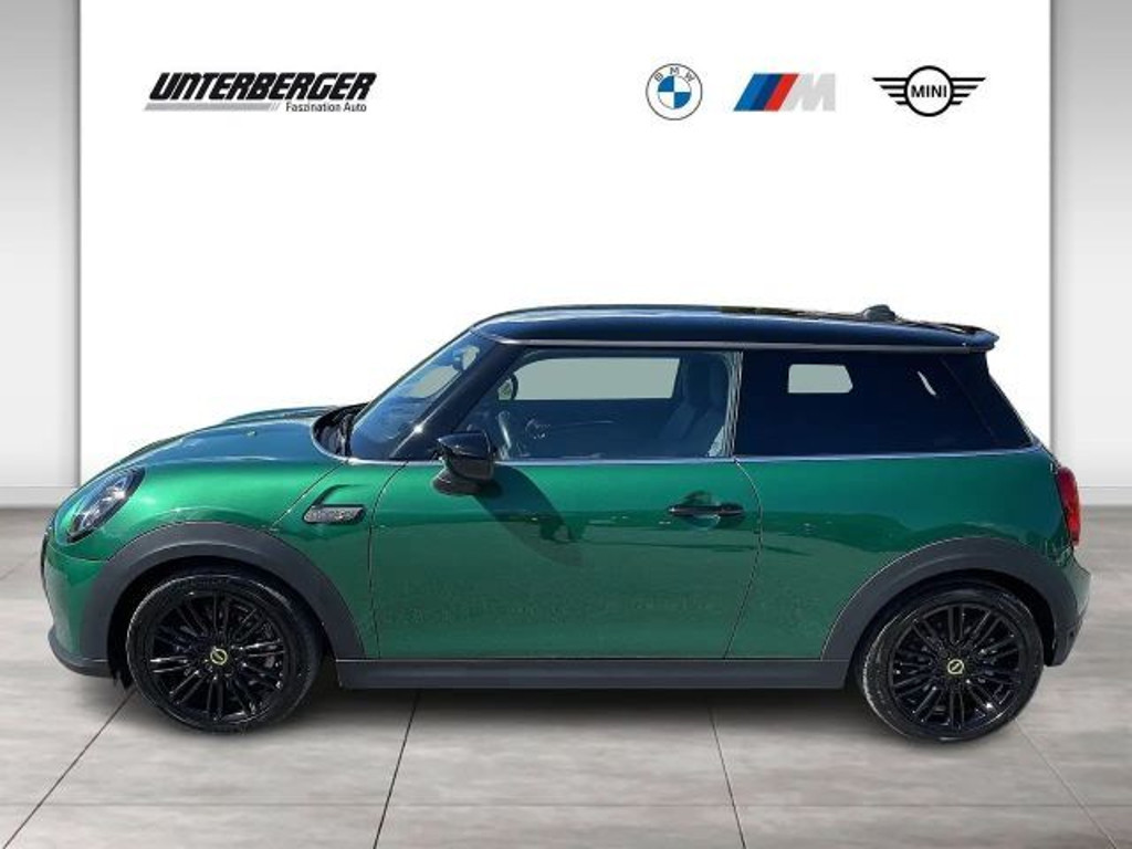 Mini Mini Electric