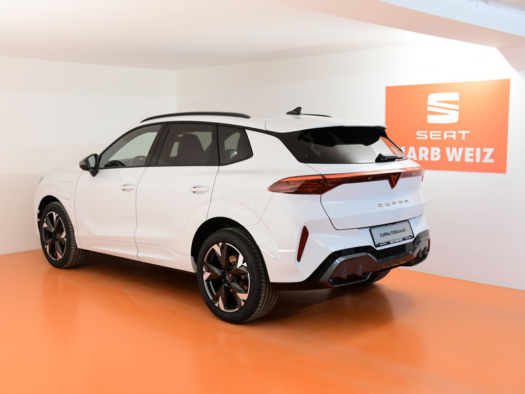 Cupra Terramar