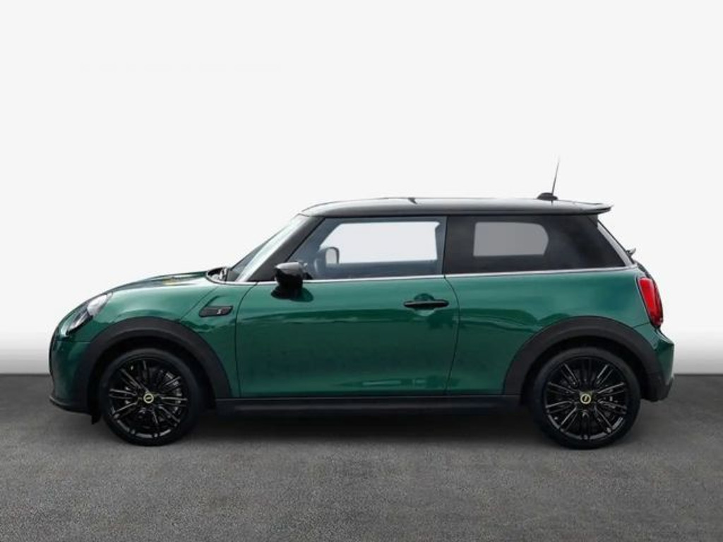 Mini Mini Electric