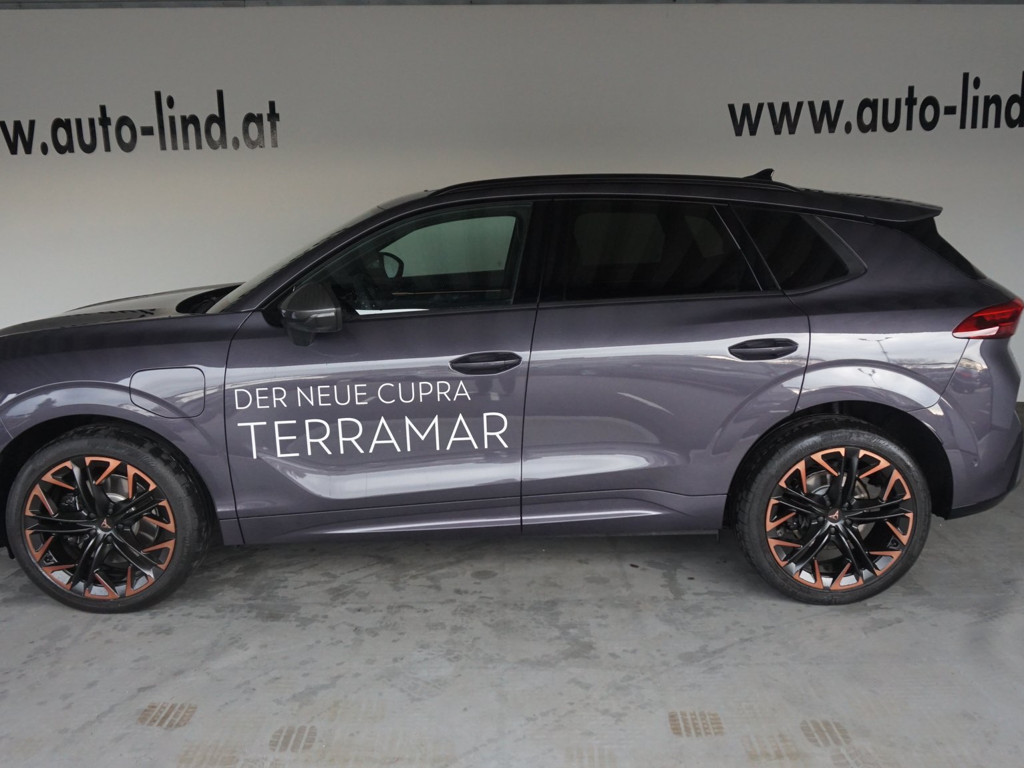Cupra Terramar