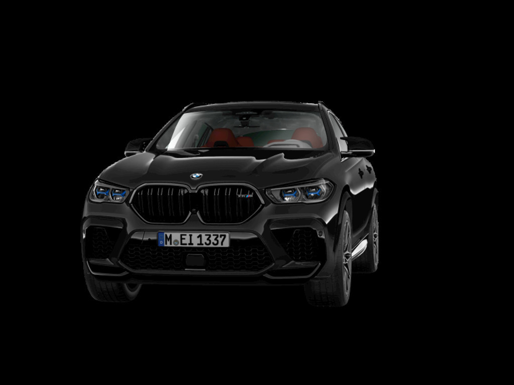 BMW X6 X6 M X6 M