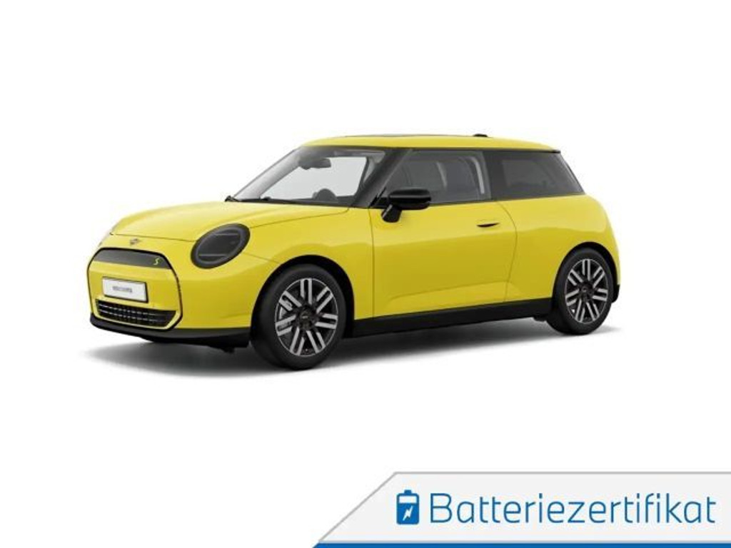 Mini Mini Electric
