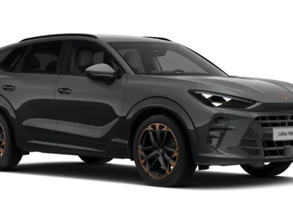 Cupra Terramar 2.0 TSI VZ