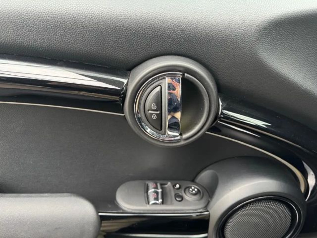 Mini Mini Electric