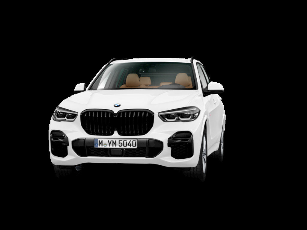BMW X5 xDrive30d