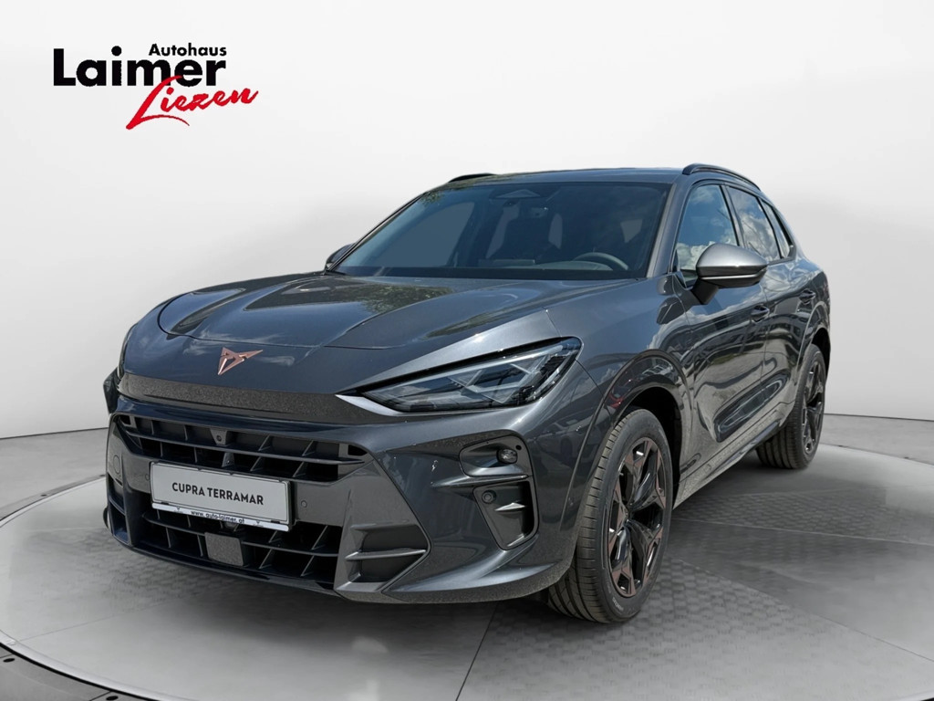 Cupra Terramar 2.0 TSI