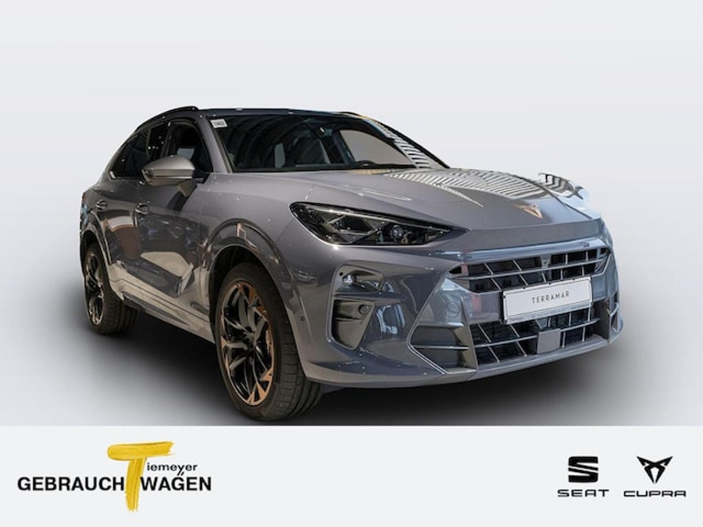 Cupra Terramar 2.0 TSI VZ