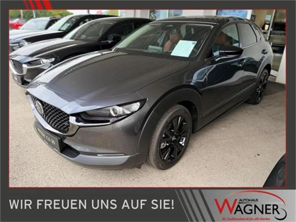 Mazda CX-30 e-Skyactive G140 Nagisa *ab €29.290*