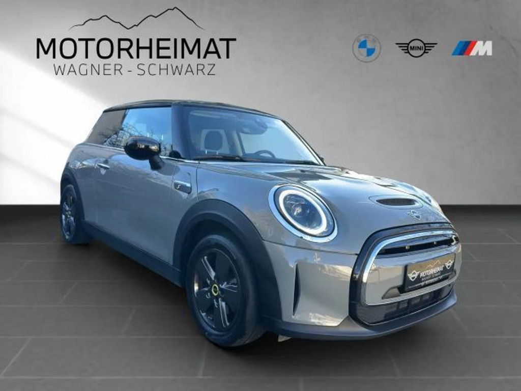 Mini Mini Electric