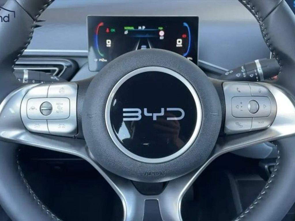 BYD Dolphin Surf