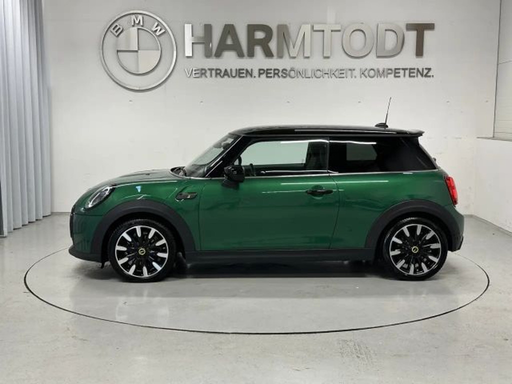 Mini Mini Electric