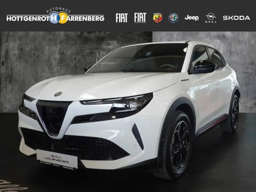 Alfa Romeo Junior Speciale Elettrica