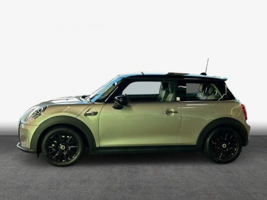 Mini Mini Electric