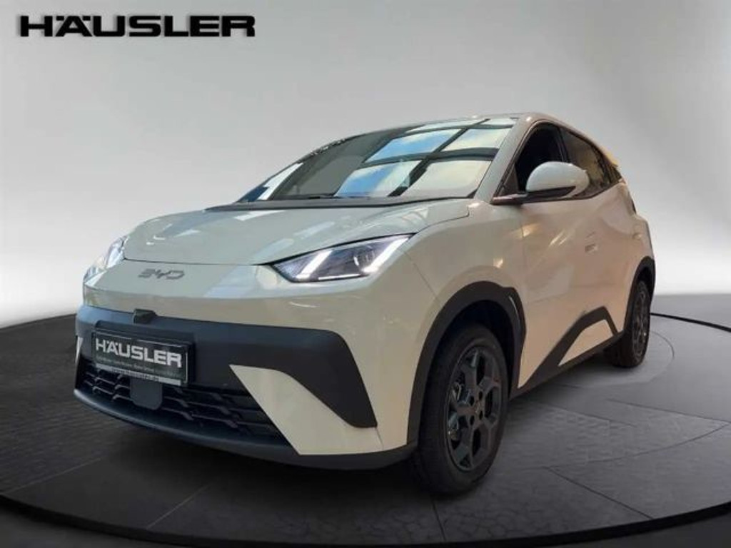 BYD Dolphin Surf CarPlay Klima Navi Leder