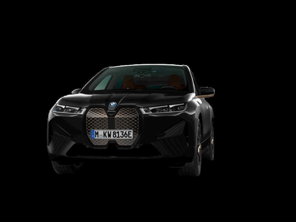BMW iX xDrive40