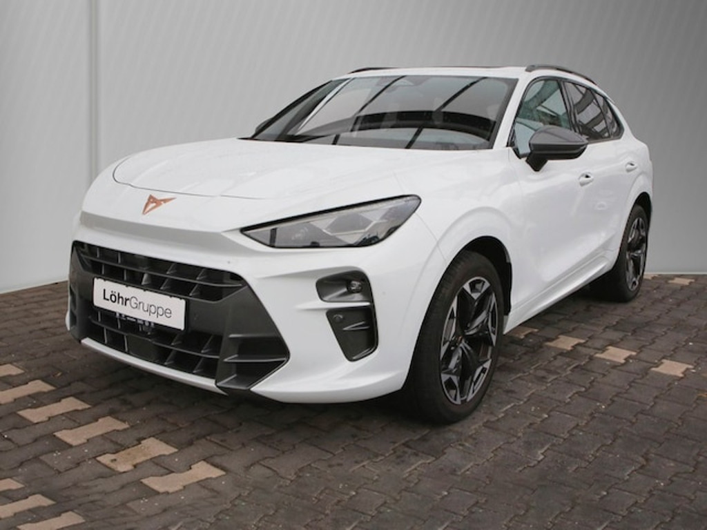 Cupra Terramar 2.0 TSI VZ