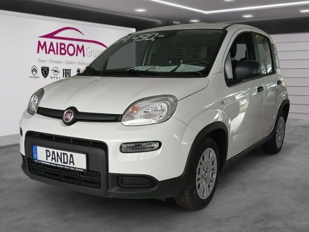 Fiat Panda Pandina 1.0 GSE
