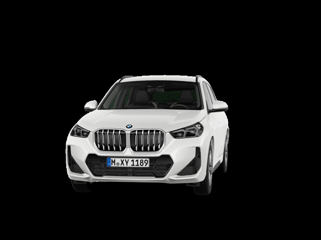 BMW X1 X1 23D X1 xDrive23d
