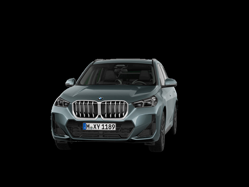 BMW X1 X1 23D X1 xDrive23d