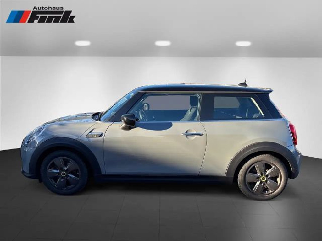 Mini Mini Electric