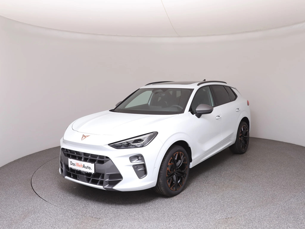 Cupra Terramar 2.0 TSI