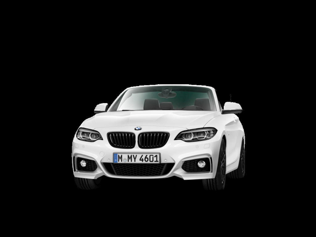 BMW 2 Serie 220 Cabrio 220i