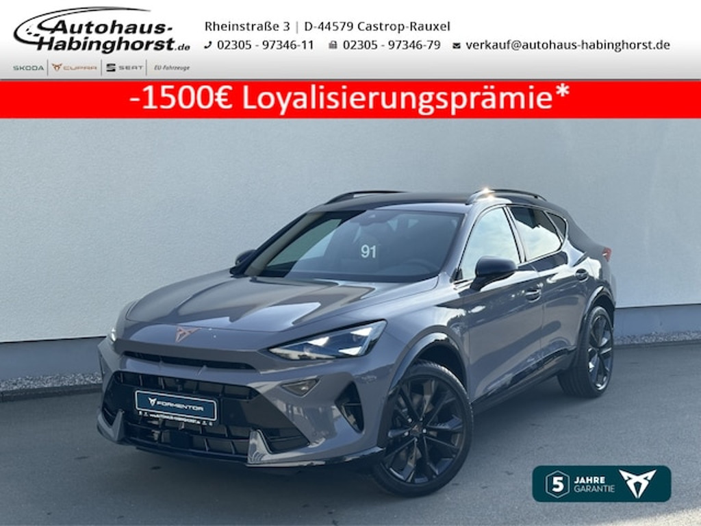 Cupra Formentor 2.0 TSI DSG VZ