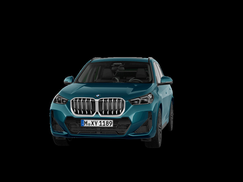 BMW X1 X1 23D X1 xDrive23d