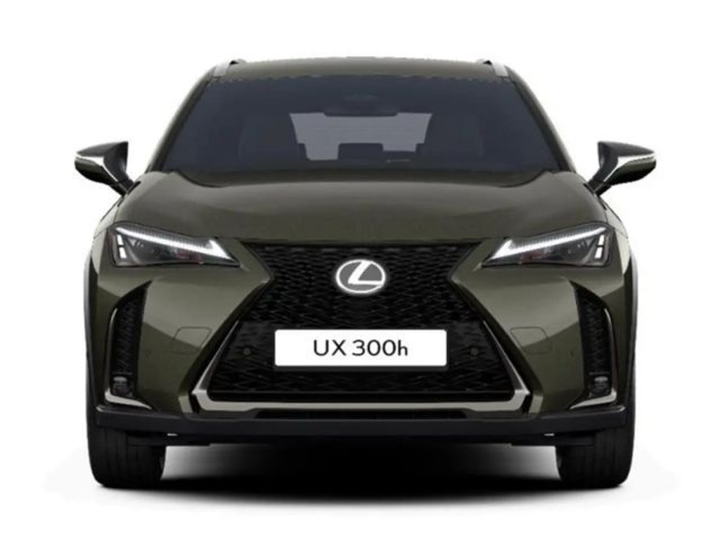 Lexus UX F Sport Sport
