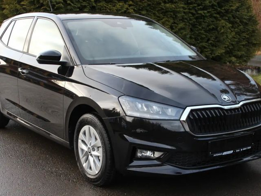 Skoda Fabia Selection