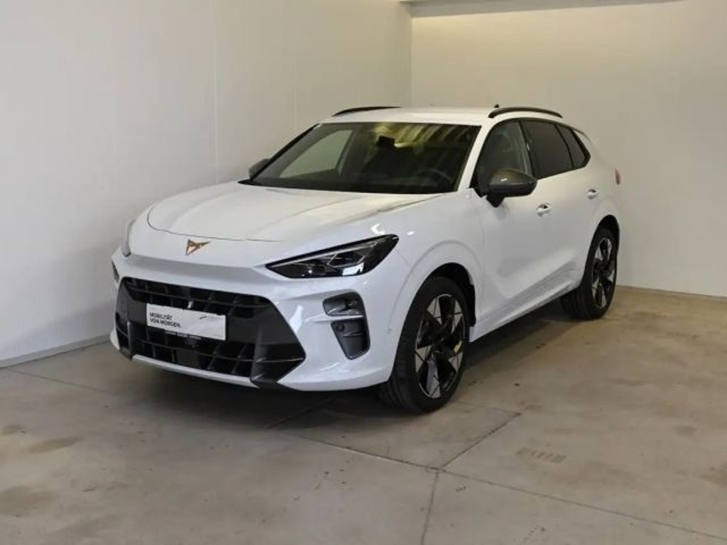 Cupra Terramar 1.5 e-TSI 150 PS DSG