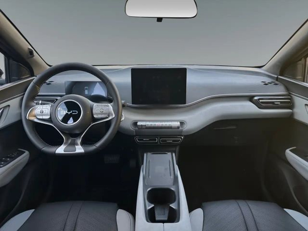 BYD Dolphin Surf Comfort