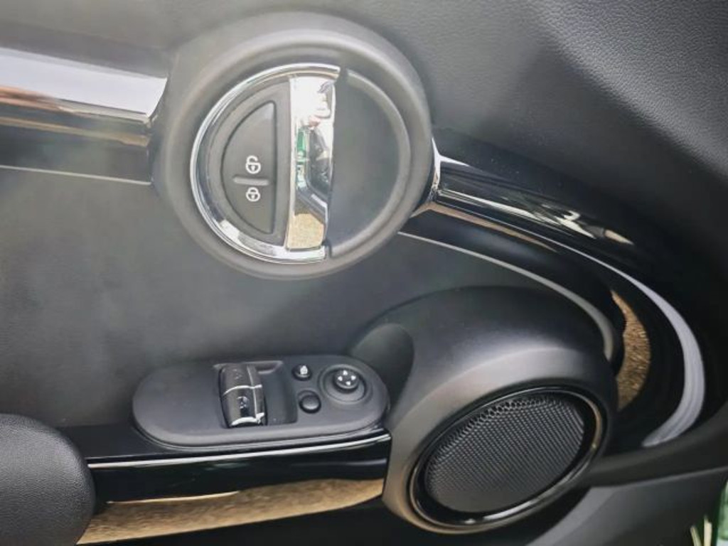 Mini Mini Electric