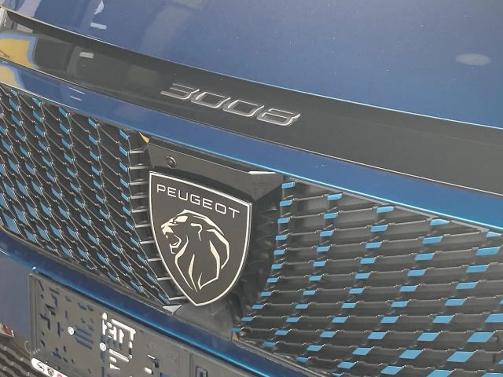 Peugeot E-3008