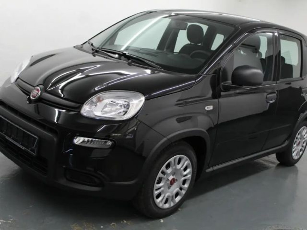 Fiat Panda 1.0 GSE DAB+PDC!