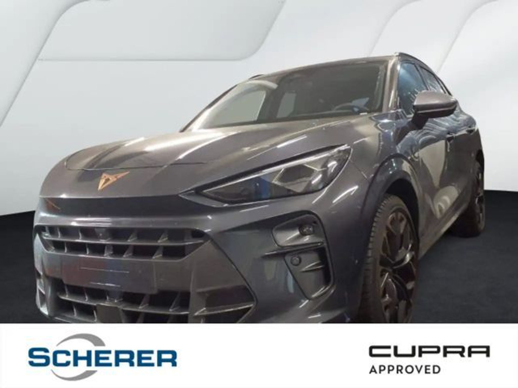 Cupra Terramar 2.0 TSI VZ